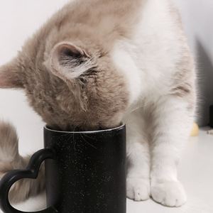 儿子日娘章节小说
